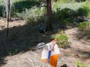 On an ARDF course, you are looking for orange and white orienteering flags like this; they have pin punches and electronic scoring units on top of the stands. The actual transmitter is next to the tree on the 80 meter course at last years USA championships.